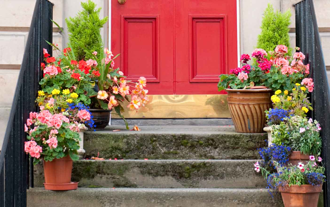 the best plants for your front door