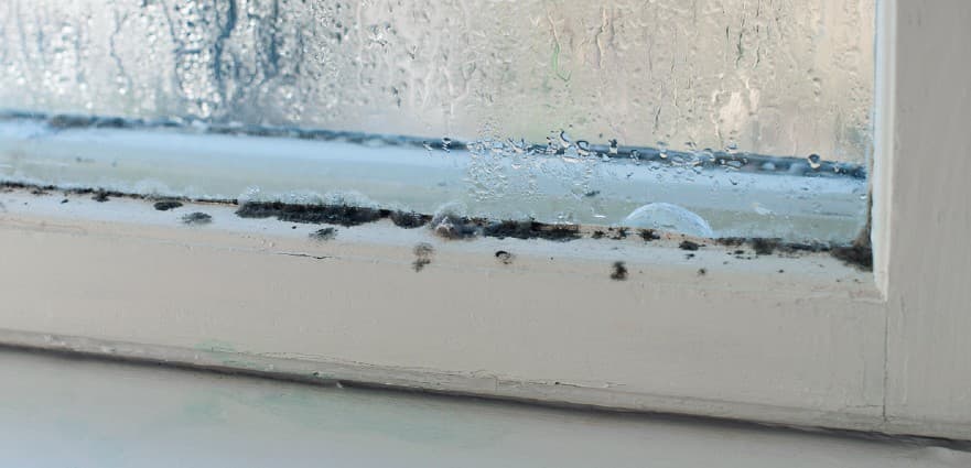 How To Stop Condensation On Windows and What Causes It 