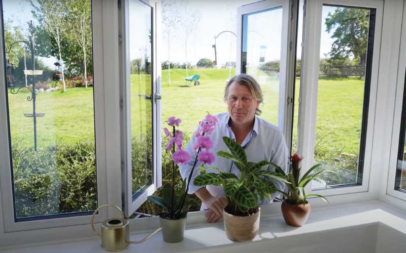 David Domoney air purifying plants